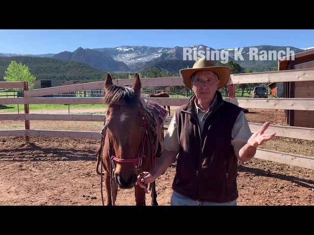 Rising K Ranch Video Review