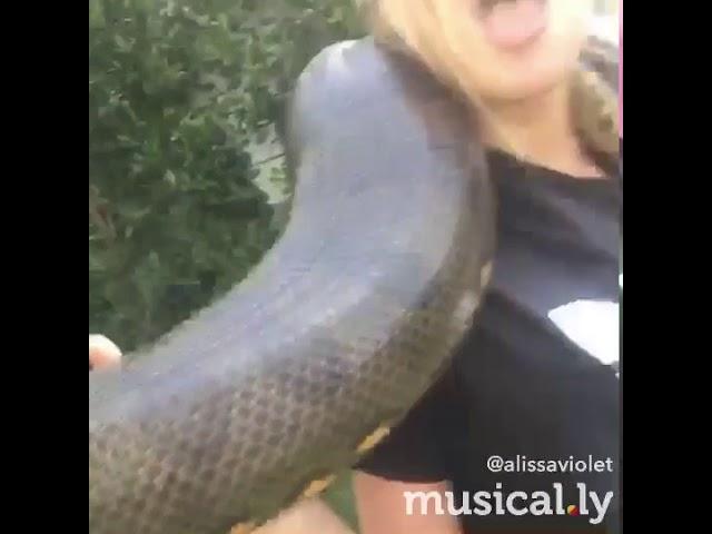 Snake girl/Kenzie Ross