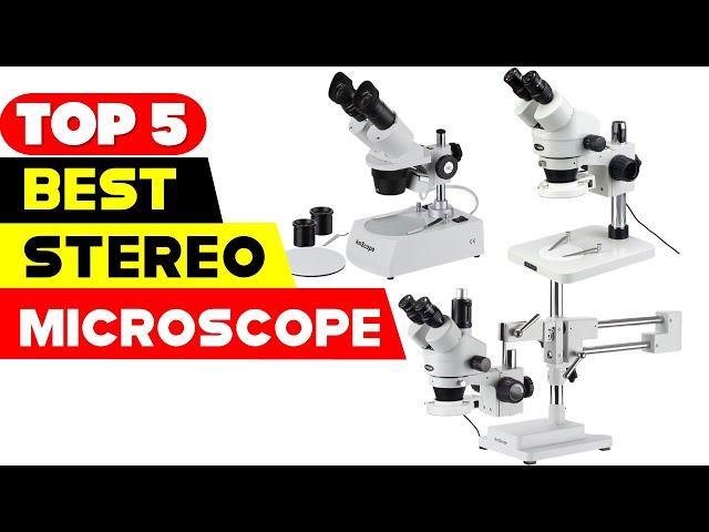 Top 5 Best Stereo Microscopes Reviews of 2024