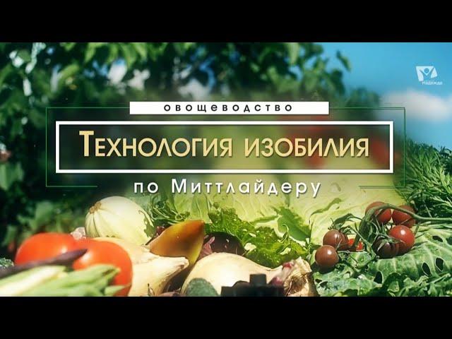 Защита от вредителей | Технология изобилия