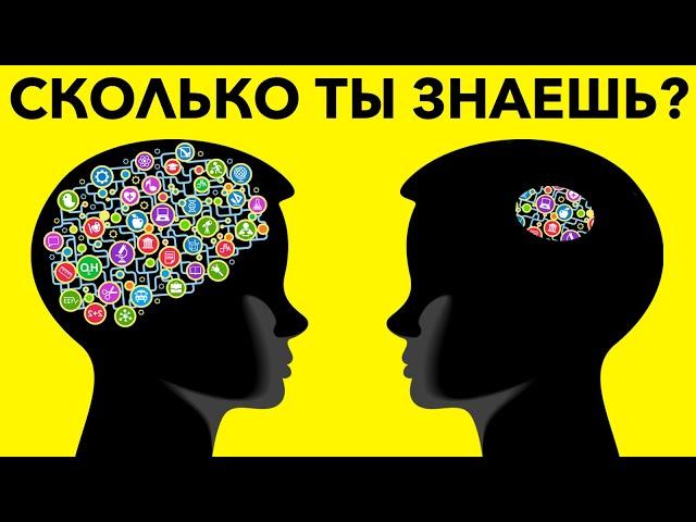 Насколько ты эрудирован? Тест на общие знания