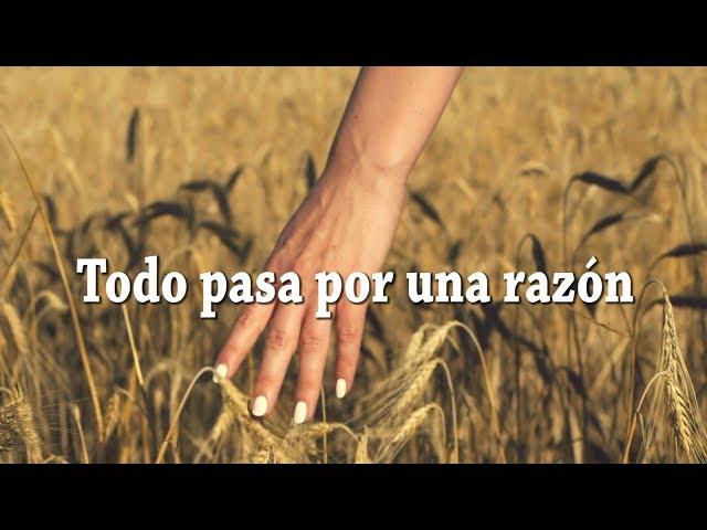 Todo pasa por una razón - Reflexiones