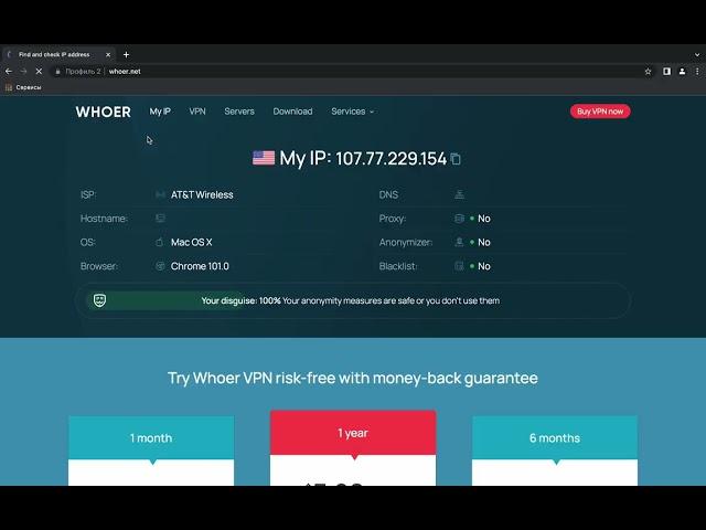 Dolphin Anty + iProxy.online = 100% Pixelscan & Whoernet анонимность