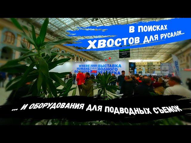 Московское Дайв Шоу 2024 / Moscow Dive Show 2024 / Выставка Водного Человека 2024