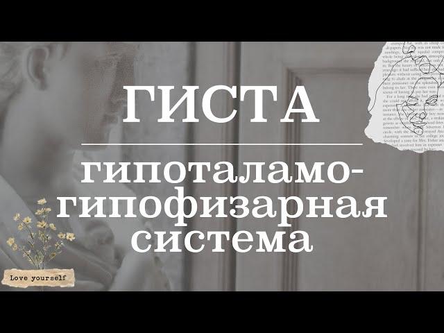 Гипоталамо-гипофизарная система (строение, функционирование) | Гистология