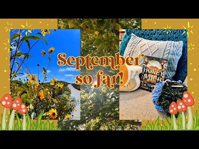 September Updates! Sunny days, cozy recs, and a really scary migraine that I need to talk about!!!