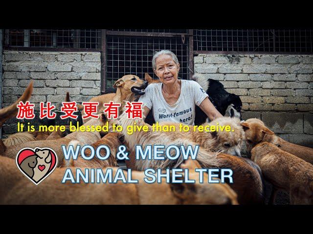 Toyota | Woo & Meow Animal Shelter Organization 汪喵收容所 - 同心协力 我们一起作出改变