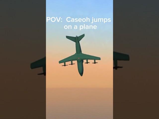 POV: Caseoh jumps on a plane in TFS