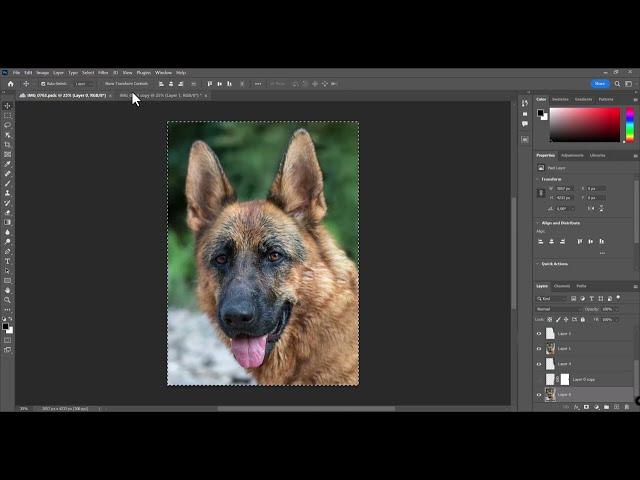 How to Copy Image or Layer Content and Paste it Onto Layer Mask in Adobe Photoshop