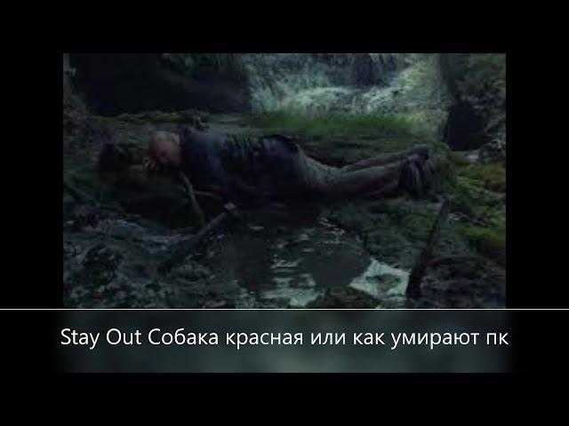 Stay Out Собака красная или как умирают ПК