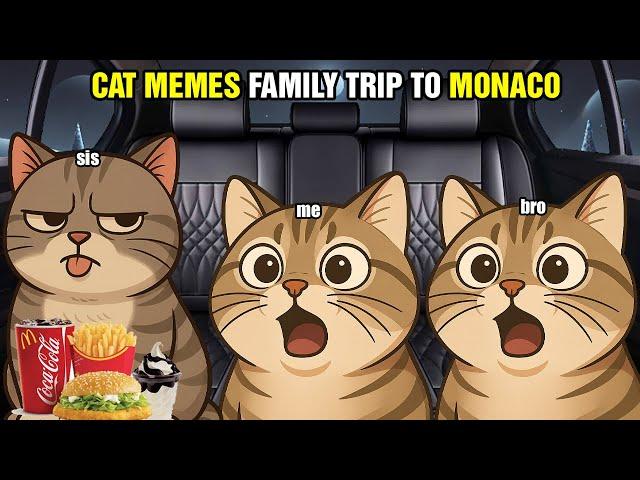 CAT MEMES FAMILY TRIP TO MONACO