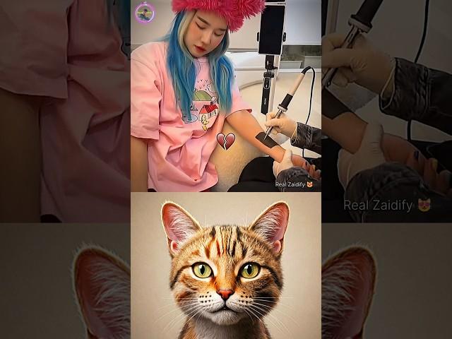 give this video title  (warning answer) #cat #meme #dance