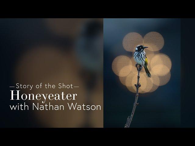 Story of the Shot - Honeyeater - Nathan Watson