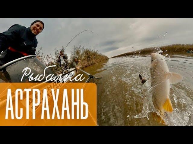 Астрахань. Маково // Рыбалка на Волге