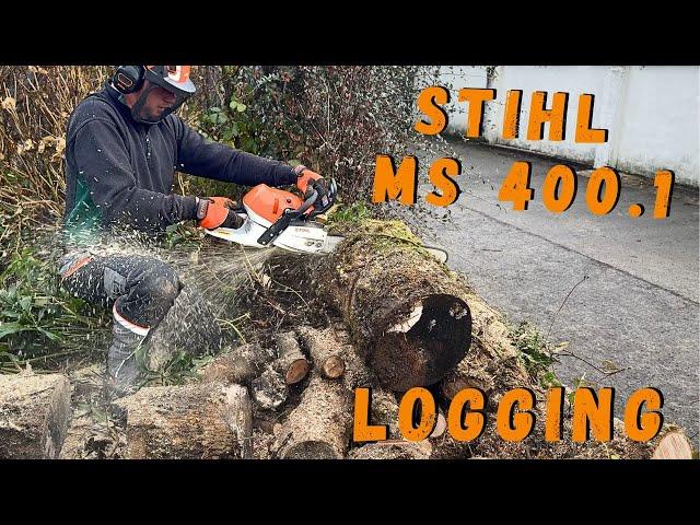 Logging & Splitting with the NEW STIHL MS 400.1! What Do You Think?