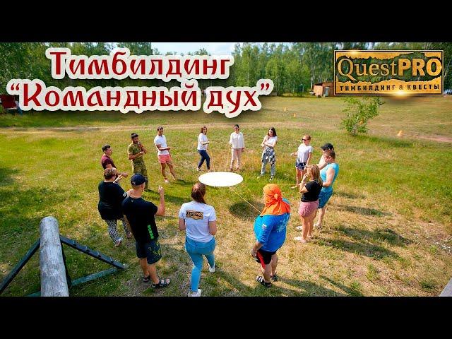 QuestPRO | КвестПро. Командный дух