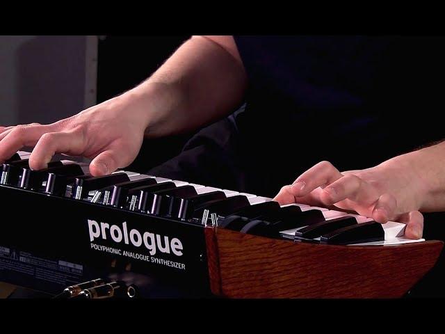 Korg Prologue - All Playing, No Talking!