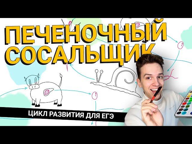 ПЕЧЕНОЧНЫЙ СОСАЛЬЩИК жизенный цикл | ЕГЭ ОГЭ Биология