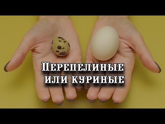 Какие яйца полезнее – перепелиные или куриные: врачи дали однозначный ответ