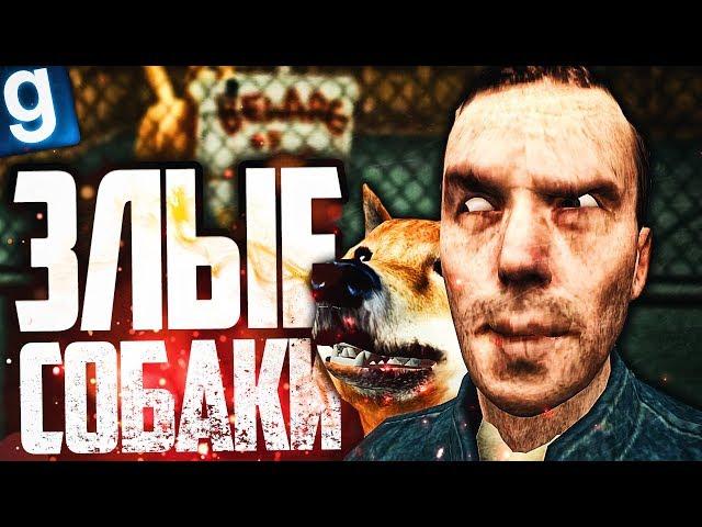 ОТКРЫЛ ПРИЮТ ДЛЯ СОБАК! НО СОБАКИ ЗЛЫЕ! ► Garry's Mod [Гаррис Мод] - Dark RP [Дарк РП]