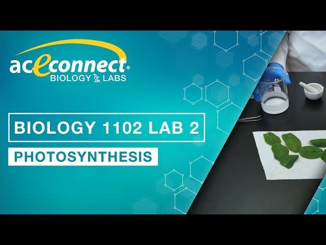 Biology Lab || Photosynthesis