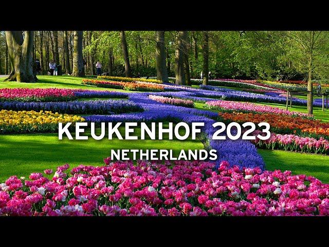  Keukenhof, April 30, 2023 - Netherlands   [4K]