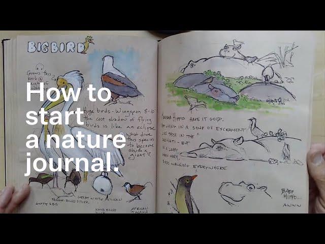 How to start a nature journal.