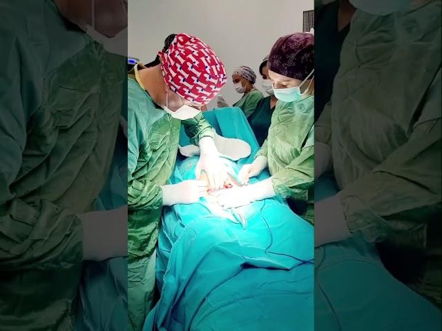 SEZERYAN.  SPINAL EPIDURAL ANESTEZİ.  DR  MEHMET BOZ 2023