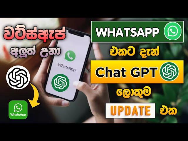 Whatsapp එකට ආව Chat GPT | Chat gpt To Whatsapp Sinhala | whatsapp big update |  SL Academy