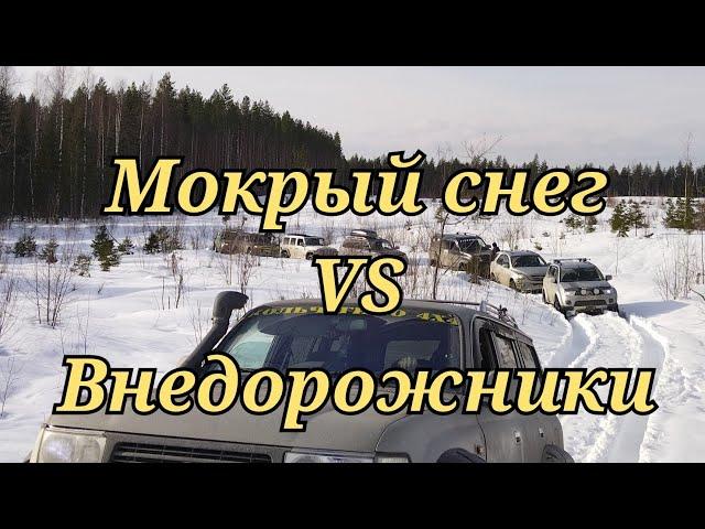 Wrangler Rubicon, Sport2, L200, Pajero 4, Sorento, Terrano, Tlc80 и УАЗ. Борьба с мокрым снегом.