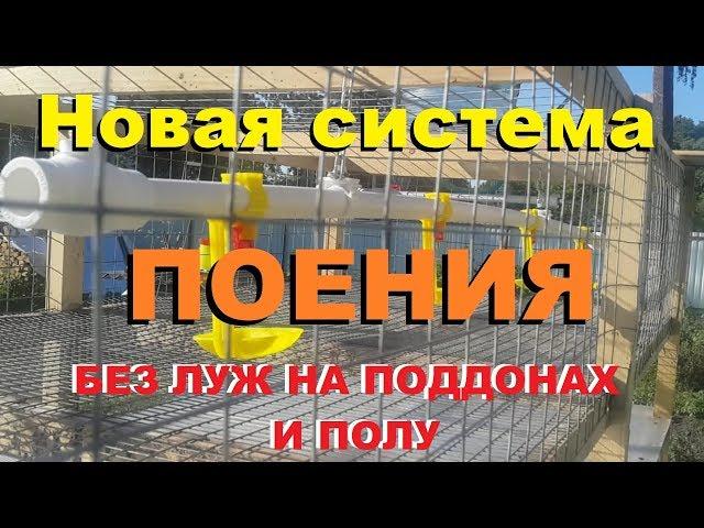 Новая система поения без бактерий и луж