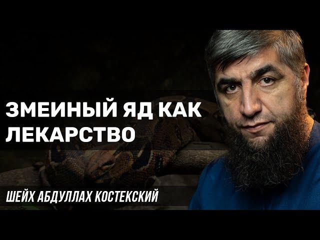 Змеиный яд как лекарство