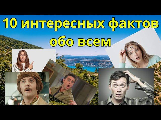 ФАКТЫ. 10 интересных фактов обо всем