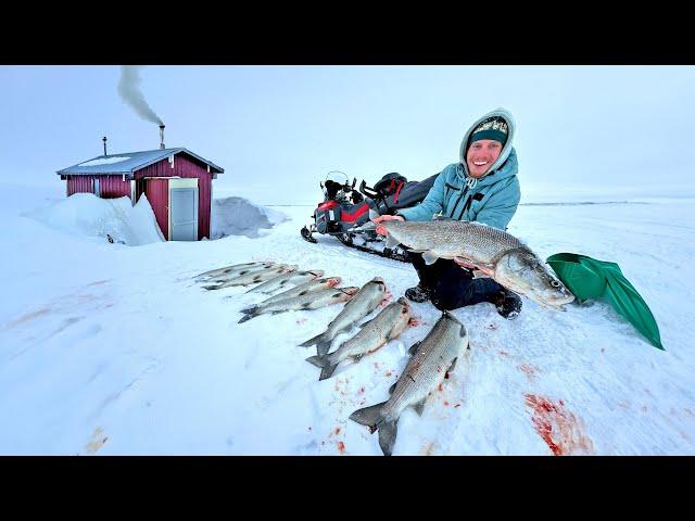 6 Days Camping on the Arctic Ocean - Sheefish Catch & Cook