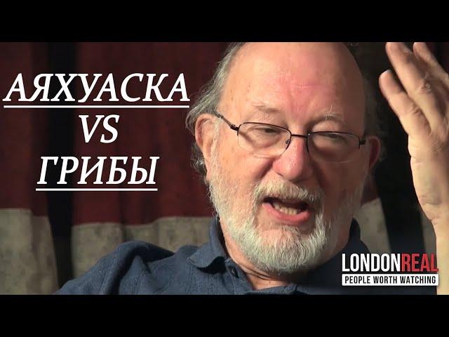 АЯХУАСКА vs ГРИБЫ. Денис МакКена про Дмт и Псилоцибин. Заветы Теренса.