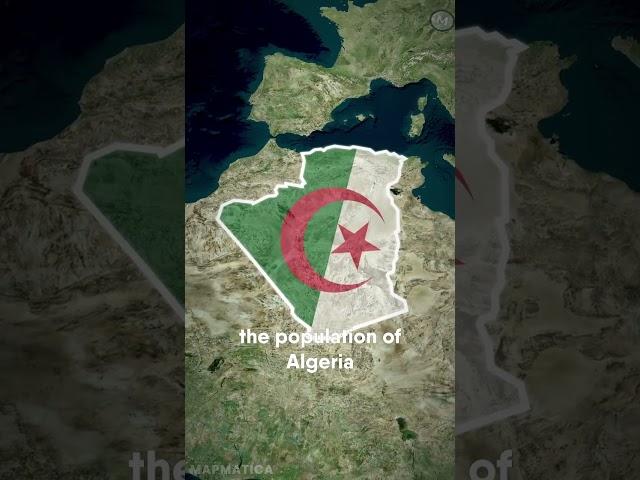 Did You Know These Things About Algeria  #shorts