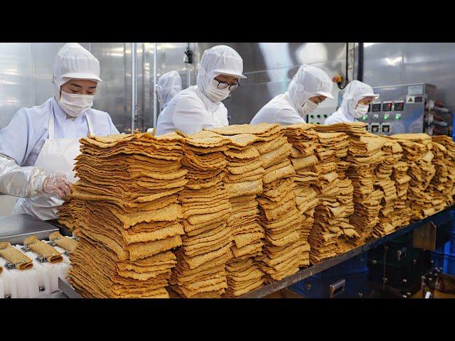 40 tons per day! Korea Fish Cake Mass Production Factory