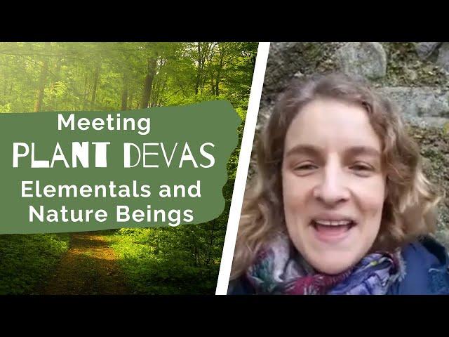 Plant Devas, elementals and nature beings