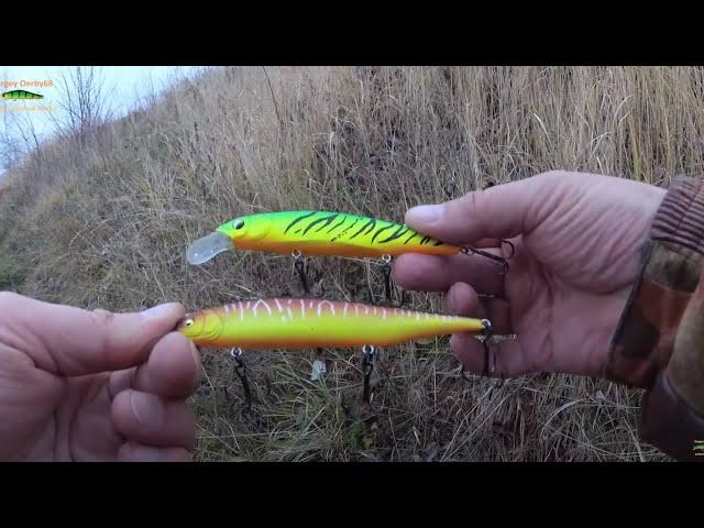 TWO OF THE CRANK, WHICH MADE FISHING. Pike for spinning in early November 2020.