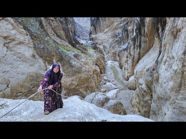 A Nomadic Woman's Solo Journey | Life in Zagros