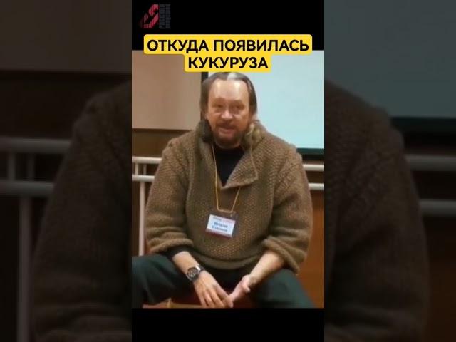 Кукуруза - инопланетный продукт? #сундаков #буквица #русь #славяне