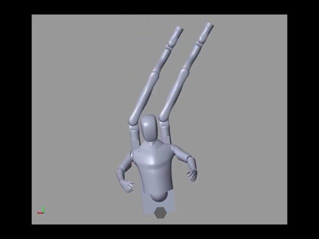 Augmented Human Balance Simulation