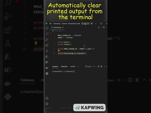 Automatically Clear Printed Output From Terminal Using Python