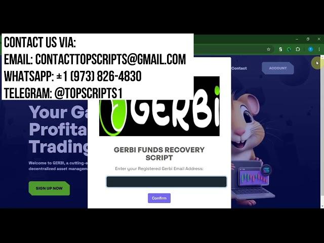 Gerbi.io Withdrawal Update | How To Successfully Withdraw Your Funds From Gerbi.io |