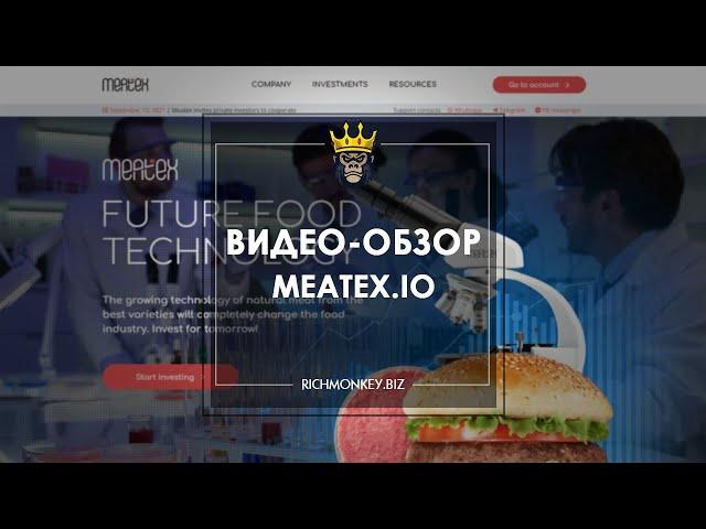 MEATEX.IO – ОБЗОР И ОТЗЫВЫ. ХАЙП-ПРОЕКТ ОТ ОПЫТНОГО АДМИНА. +30% ЗА 15 ДНЕЙ