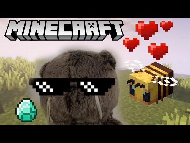 Кот Басик играет в игру MINECRAFT! # 1  #minecraft