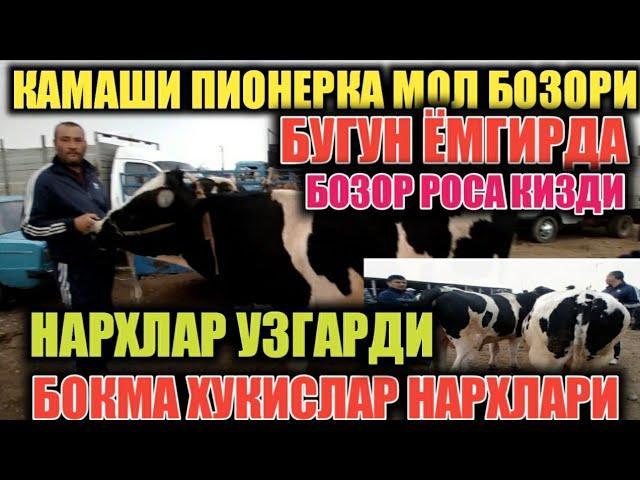 КАМАШИ ПИОНЕРКА МОЛ БОЗОРИ БУГУН ЁМГИРДА БОЗОР ДАХШАТ БУЛДИ..