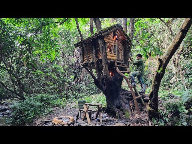 New house on a big tree, alone in the bush