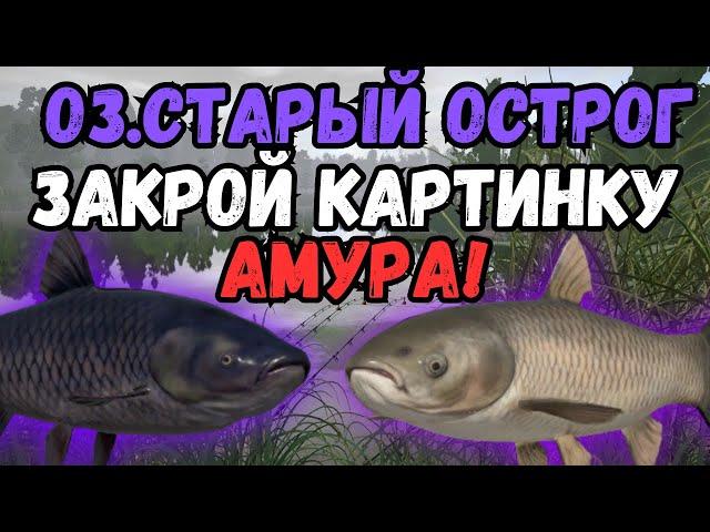 РАЗДАЧА ТРОФЕЙНОГО АМУРА/оз.Старый Острог ● Русская Рыбалка 4 | РР4