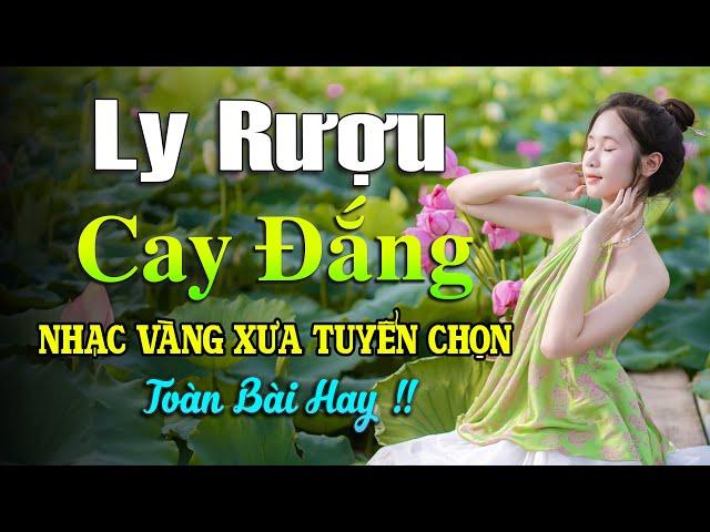 LY RƯỢU CAY ĐẮNG, MƯA NỬA ĐÊMNHẠC VÀNG TRỮ TÌNH HẢI NGOẠI BOLERO TUYỂN CHỌN HAY NHẤT 2024